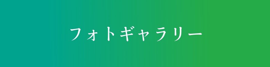 フォトギャラリー